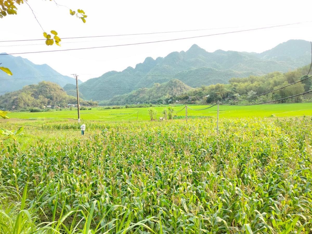 Truong Huy Homestay Mai Chau Exteriér fotografie